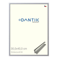 DANTIK rámeček 30 × 40, ALU profil 7002 Stříbrný matný plexi čiré