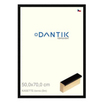 DANTIK rámeček 50 × 70, KASSETTE černý plexi čiré