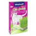 Vitakraft Cat Gras 120 g