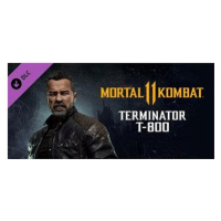 Mortal Kombat 11 Terminator T-800 - PC DIGITAL