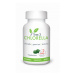 Tree3Chlorella tbl.60