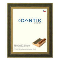 DANTIK rámeček 40 × 50, ZVRATNÝ zelenozlatý plast sklo čiré