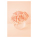 Fotografie Roses in the color of 2024 year Peach Fuzz, Anna Blazhuk, 26.7 × 40 cm