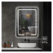 IREDA Koupelnové zrcadlo s LED osvětlením, 60 x 80 cm