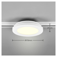 Trio Lighting LED stropní svítidlo Camillus DUOline, Ø 17 cm, bílé