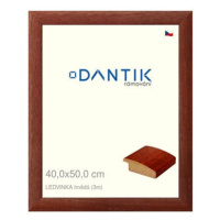 DANTIK rámeček 40 × 50, LEDVINKA hnědý plexi čiré