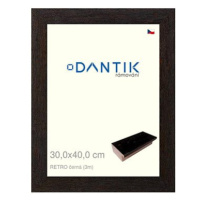 DANTIK rámeček 30 × 40, RETRO černý plexi čiré