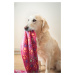 Vsepropejska Blonda hebká deka pro psa Barva: Hnědá, Rozměr (cm): 59 x 37