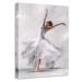 Obraz Styler Canvas Waterdance Dancer II, 60 x 80 cm