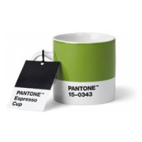 PANTONE Espresso - Green 15-343, 120 ml