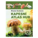 Kapesní atlas hub - Miroslav Smotlacha, Josef a Marie Erhartovi - kniha z kategorie Biologie