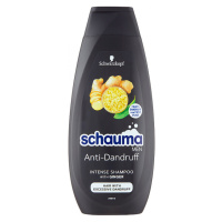 Schauma MEN 400ml Intensiv AntiDandruff proti lupům