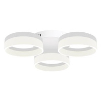 LED Stropní svítidlo RING 3xLED/12W/230V bílé