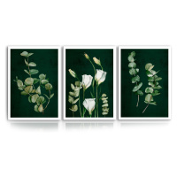 Obraz na plátně PLANTS I. set 3 kusy různé rozměry Ludesign ludesign obrazy: 3x 40x60 cm