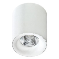 Azzardo Azzardo  - LED Stropní svítidlo MANE 1xLED/10W/230V