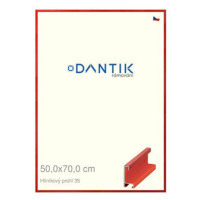 DANTIK rámeček 50 × 70, ALU profil 6035 Dýha barevný červený třešeň plexi čiré