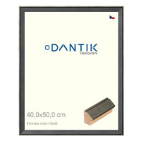 DANTIK rámeček 40 × 50, INCLINATA colori šedý sklo čiré