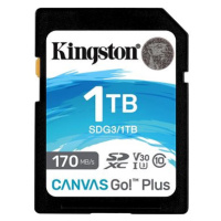 Kingston SDXC 1TB Canvas Go! Plus