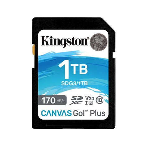 Kingston SDXC 1TB Canvas Go! Plus