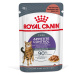 Royal Canin Appetite Control Care v omáčce - 96 x 85 g
