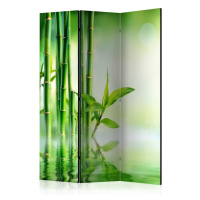 Paraván Green Bamboo Dekorhome 225x172 cm (5-dílný),Paraván Green Bamboo Dekorhome 225x172 cm (5