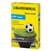 Barenbrug BAR POWER RPR 1 kg