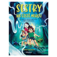 Sestry na cestě mlhou - Marlyn Spaaij - kniha z kategorie Komiksy