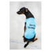 Vsepropejska Buda letní tričko pro psa Barva: Modrá, Délka zad (cm): 35, Obvod hrudníku: 42 - 50