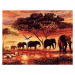 Malování podle čísel - Sloni v západu slunce 40 x 50 cm (bez rámu)