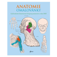 Anatomie omalovánky Euromedia Group, a.s.