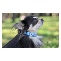 Vsepropejska Blue modrý obojek pro psa Barva: Modrá, Obvod krku: 33 - 55 cm