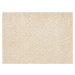Sintelon koberce AKCE: 50x740 cm Metrážový koberec Tagil / 10231 krémový - Bez obšití cm