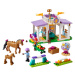 LEGO® Friends 41746 Výcvik koní