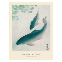 Obrazová reprodukce Nishikigoi, Two Koi Carp Fish (Special Edition) - Ohara Koson, 30 × 40 cm