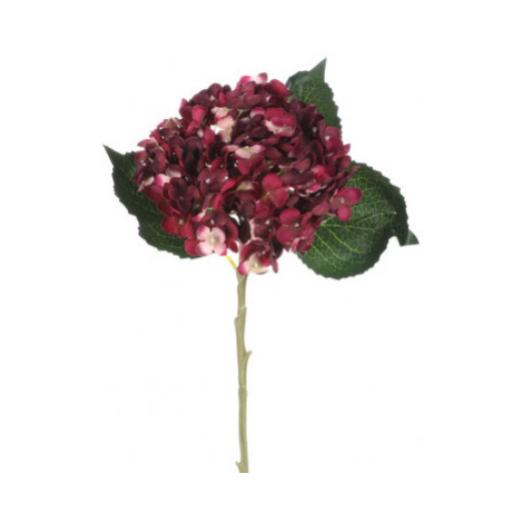 Umělá květina Hortenzie 50 cm, bordó Asko