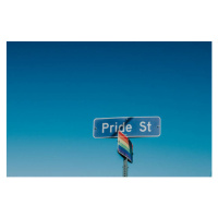 Fotografie American road sign displaying 'Pride Street', Catherine Falls Commercial, (40 x 26.7 