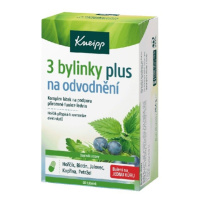 KNEIPP 3 bylinky na odvodnění 60 tobolek