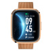 GARETT Smartwatch GRC STYLE Gold steel Chytré hodinky