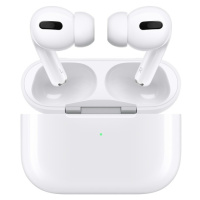 Apple AirPods Pro Case  Bílá