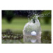 Umělecká fotografie Golf ball landing in pond, close-up, Photo and Co, (40 x 26.7 cm)