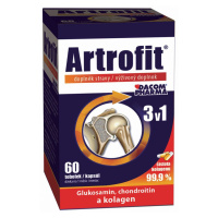 Artrofit 60 kapslí