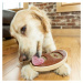 Hračka pro psy PetSafe® Busy Buddy Steak - S/M