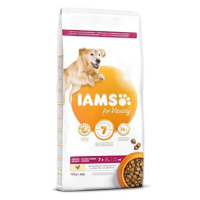 IAMS Dog Senior Large Chicken 12 kg