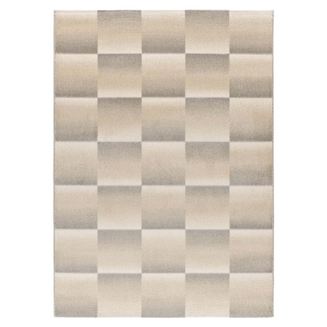 Šedo-krémový koberec 160x230 cm Sensation – Universal