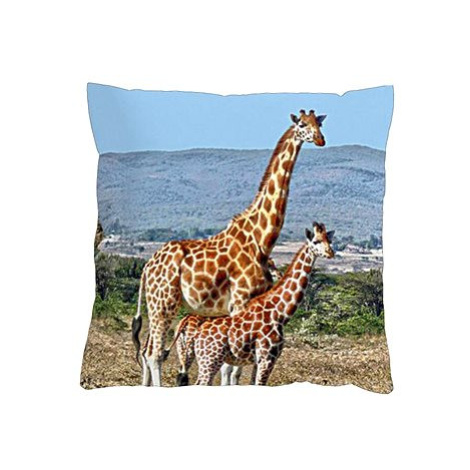 4sleep Povlak na polštář 40 × 40 cm, na zip velur - Žirafy