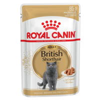 Royal Canin British Shorthair Adult - v omáčce - 12 x 85 g