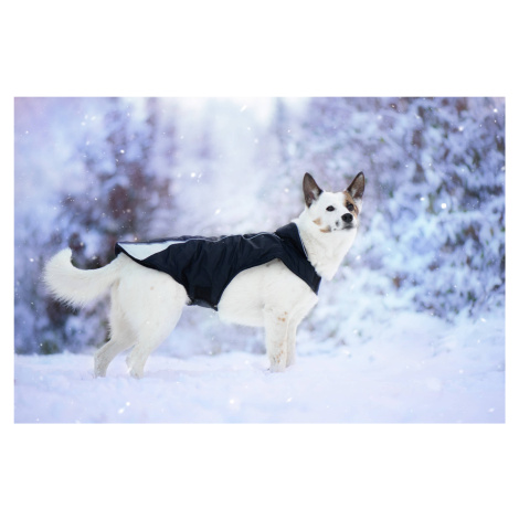 Vsepropejska Kit reflexní zimní bunda pro psa s límcem Barva: Černá, Délka zad (cm): 30, Obvod h