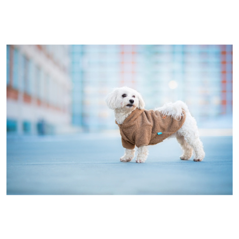 Vsepropejska Simon mikina pro psa s kapucí Barva: Béžová, Délka zad (cm): 34, Obvod hrudníku: 44