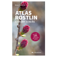 Kniha: Atlas rostlin - Stromy a keře od Kremer P. Bruno