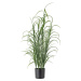 Umělá tráva (výška 92 cm) Grass – Bloomingville